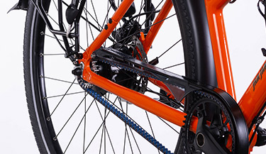 Rohloff(E) - Gates CDX